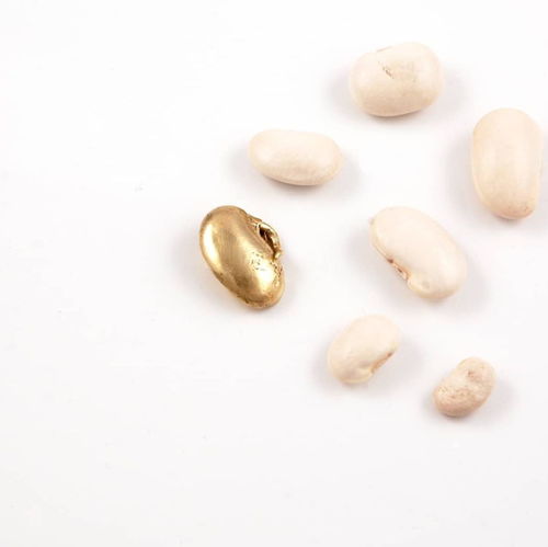 跨界藝術(shù)之旅 RCA珠寶創(chuàng)意思維暑期課程，釋放你的設(shè)計潛能